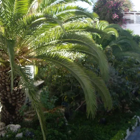 Poseidon 2* Καμάρι